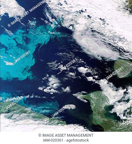 This Envisat image, 2008 with the Medium Resolution Imaging Spectrometer, captures a plankton bloom stretching across the Northeast Passage in the Barents Sea