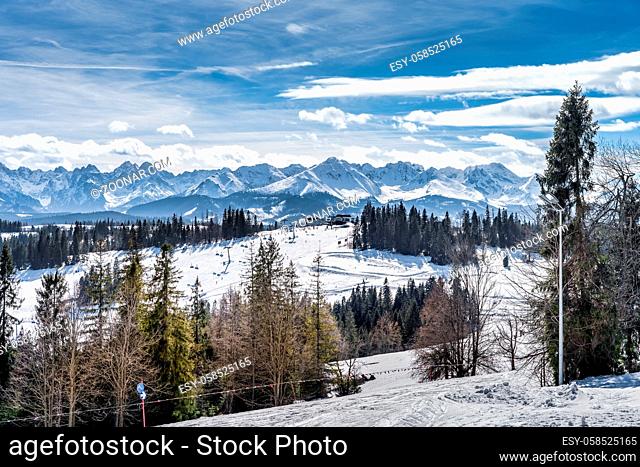 Panoramic view on snowy forest and Tatra Mountains in winter time. Ski slopes and ski lifts in Bialka Tatrzanska, Poland