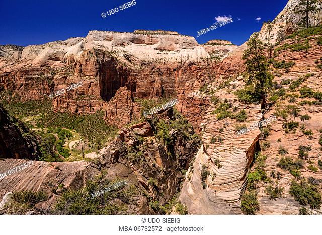 The USA, Utah, Washington county, Springdale, Zion National Park, Zion canyon close Virgin River and Angels Landing at Big Bend