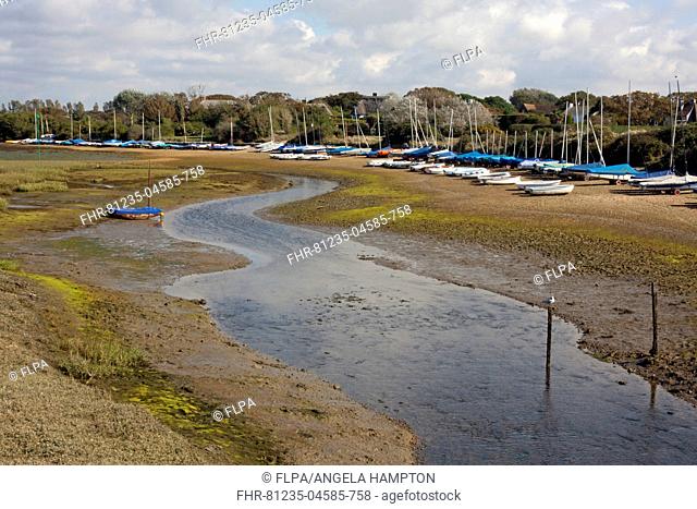 Dinghies moored beside coastal creek at low tide, Roman Landing, East Head Creek, West Wittering, Manhood Peninsula, West Sussex, England, October