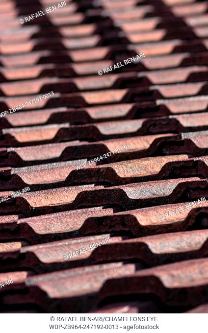 Close-up of roof tiles. Vertical Photo by Rafael Ben-Ari/Chameleons Eye