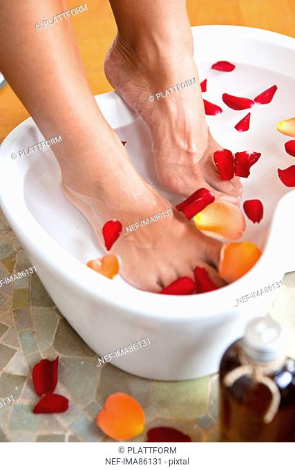 Close up of foot bath in bowl with rose petals