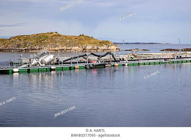 Atlantic salmon, ouananiche, lake Atlantic salmon, landlocked salmon, Sebago salmon (Salmo salar), salmonid farm, Norway, Hitra