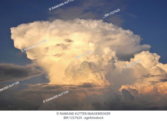 Cumulus mediocris cloud formation, congestus, in the evening at sunset, Freising, Upper Bavaria, Bavaria, Germany, Europe