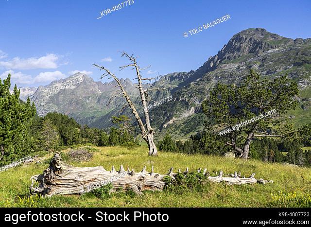 Benasque Valley, Huesca, Pyrenean mountain range, Spain