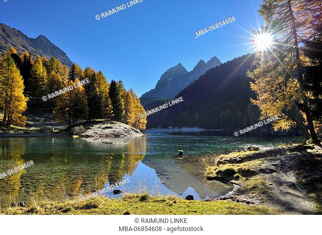 Lake with larch trees and sun in autumn, Lake Palquognasee, Lai da Palquogna, Albula-Pass, Grisons, Switzerland