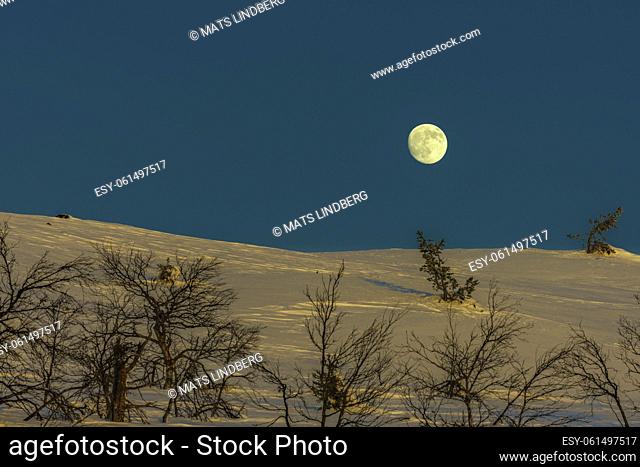 Winter landscape, with moonlight over the landscape, Swedish Lapland, Sweden
