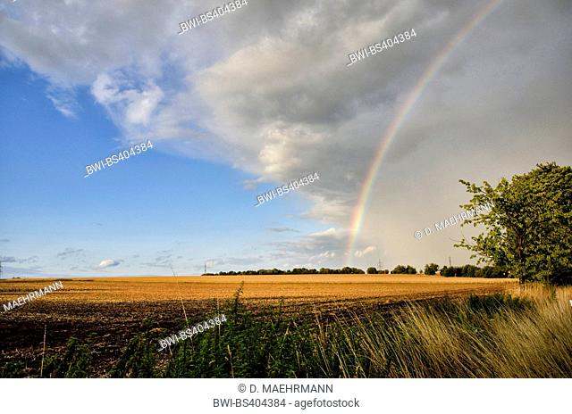 rainbow over harvested field, Germany, North Rhine-Westphalia, Ruhr Area, Bochum