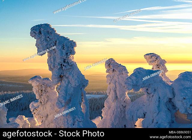 Wintertime landscape at Brocken, Harz National Park, Saxony Anhalt, Germany