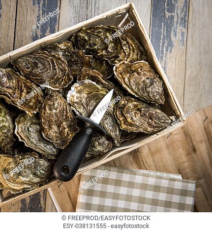 Raw oysters with lemon on wood board and bottle of wine and glass, France