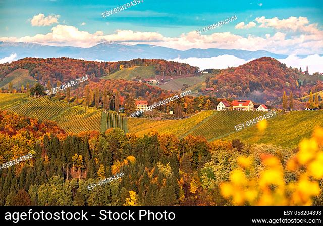 South styria vineyards landscape, Tuscany of Austria. Sunrise in autumn. Colorful trees and vieyard at top of hill with poplar trees