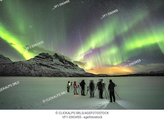 Group of photographers on Skoddebergvatnet lake, with northern lights in the sky. Grovfjord, Troms county, Northern Norway, Norway