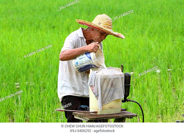 farmer preparing pesticide for spray in his rice field, Kuching, Sarawak, Borneo