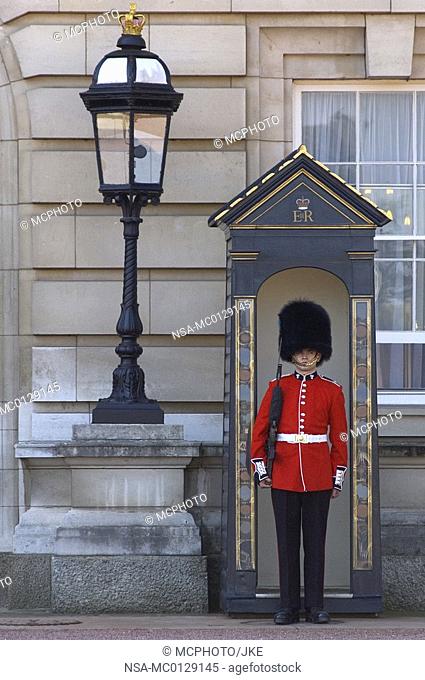 London, Buckingham Palace guard