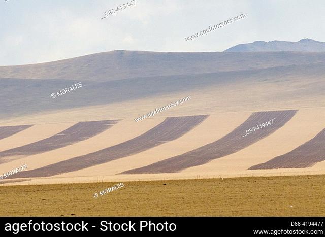 Asia, Mongolia, Central region, Steppe transformed into crops