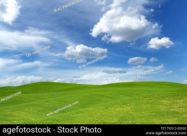Italia, Toscana, Val D'Orcia, colinas verdes bajo un cielo azul