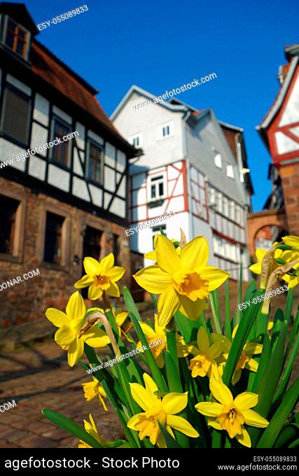 Schlitz, small town in the east of the central Hessian Vogelsberg district, Hesse, Vogelsbergkreis, halftimbered houses, halftimbered town, historic old town