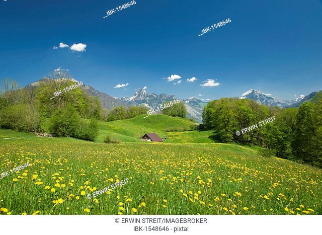 Spring scenery with brick hut, Canton of Glarus, Switzerland, Europe