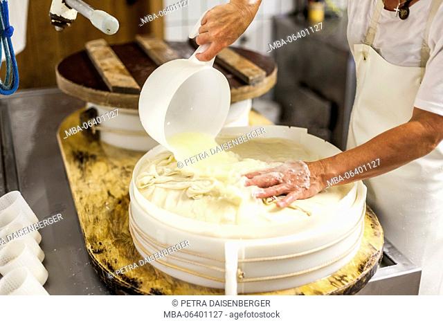 dairymaid porcesses fresh milk to aromatic alp cheese, the cheese curd is lifted out of the bowl and is processed to a loaf