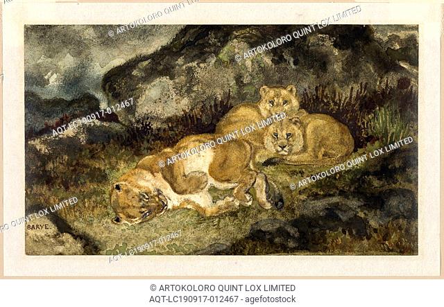 Lioness and Cubs, c. 1832, Antoine Louis Barye, French, 1795-1875, France, Watercolor, with graphite, on ivory wove paper, laid down on Japanese paper