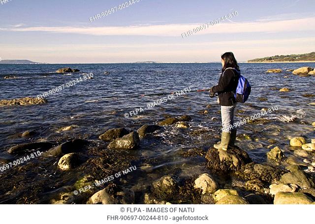 Woman sea angling, fishing from rocky beach, Jurassic Coast, Ringstead Bay, Dorset, England, october