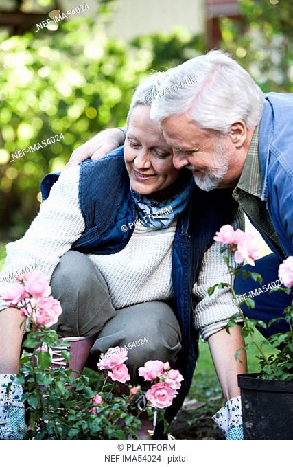 An old couple in the garden, Sweden