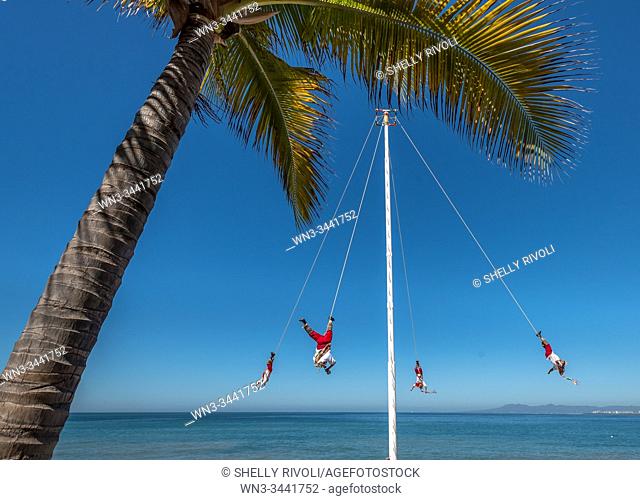 The Pampantla Flying Birdmen performing on the Puerto Vallarta Malecon in traditional costumes and suspended upside down from a pole by palm tree