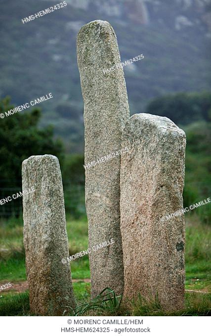 France, Corse du Sud, Sartene, archaeological site of Cauria, I Stantari alignment, standing stones