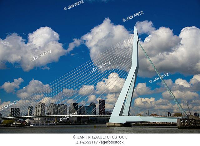 famous Erasmusbridge in Rotterdam, Holland