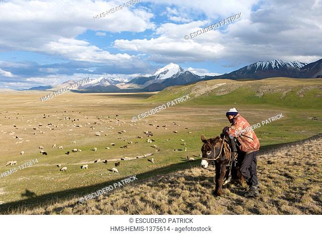Kyrgyzstan, Naryn Province, Arpa valley, Tian Shan range, shepperd keeping an eye on a flock of sheeps on summer pastures