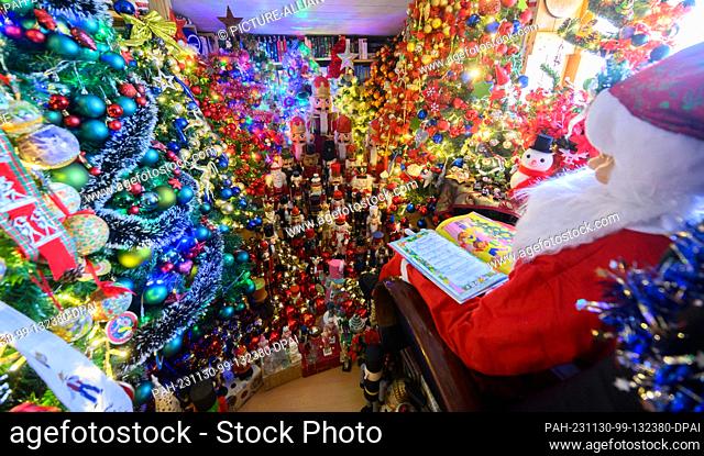30 November 2023, Lower Saxony, Rinteln: Numerous Christmas trees stand in the Jeromin family home in the district of Schaumburg