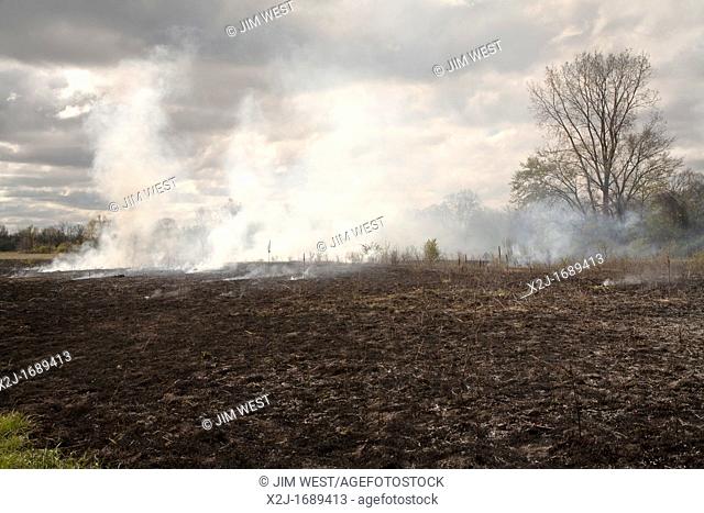Detroit, Michigan - A controlled burn in River Rouge Park aims to eliminate invasive species  After the fire, school children will help seed the area with...