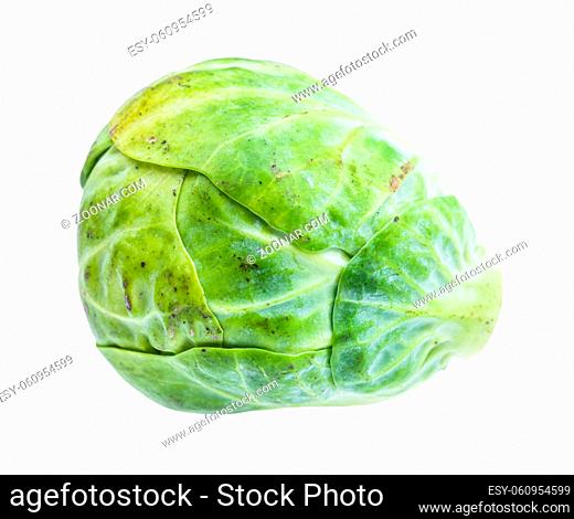 single ripe brussels sprout isolated on white background