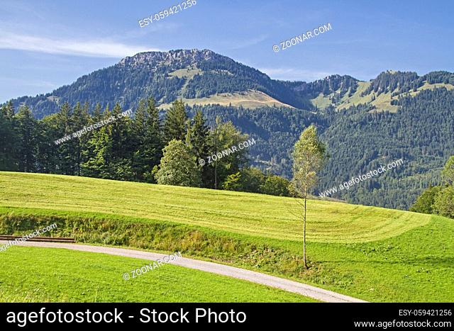 Der Brünnstein ist ein 1634 m hoher Berg in den Bayerischen Voralpen im Mangfallgebirge