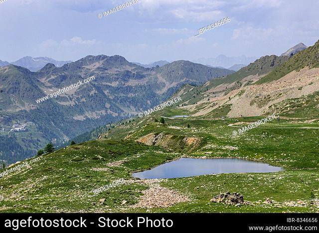 View of small mountain lake above tree line next to 2350 metre high Passo Lombarda pass at French-Italian border, Colle della Lombarda, Piedmont region, Italy