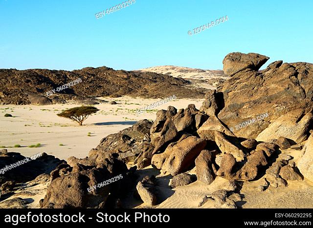 in the middle of the desert rock and track like concept of wild and nature scenic land