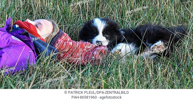 Ten-year-old girl Amy from Sieversdorf lies in a field with Tilda, a nine-week-old Border Collie puppy in Sieversdorf, Germany, 16 December 2016