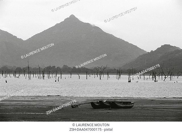 Dead trees standing in lake, canoes on shore, Sri Lanka