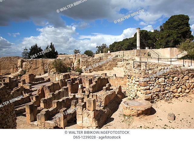 Tunisia, Tunis, Carthage, Byrsa Hill, Roman-era ruins