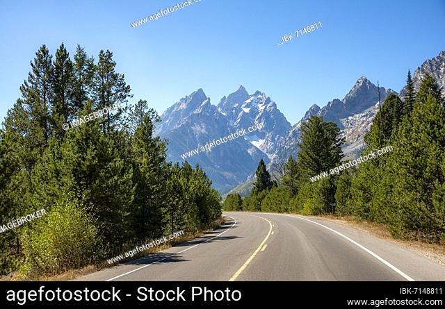 Country road through forest, rugged mountain peaks behind, Grand Teton, Mount Teewinot and Mount St. John, Teton Range mountain range, Grand Teton National Park