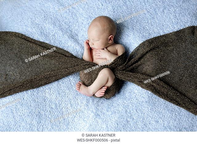 Naked newborn covered with a scarf lying on a blanket