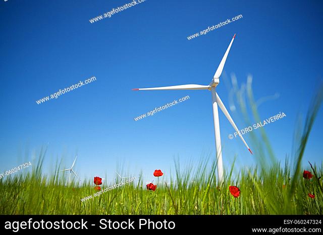Wind turbines for electric power production, Zaragoza province, Aragon in Spain