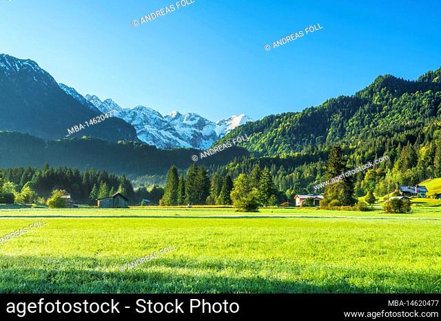 Idyllic morning near Oberstdorf with view into Stillachtal. Forests, meadows, snowy mountains and blue sky. Allgäu Alps, Bavaria, Germany, Europe