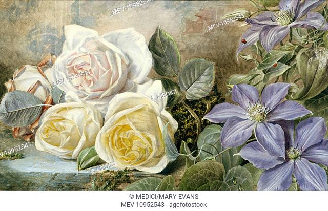 'Roses and Clematis'