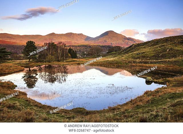 Kelly Hall Tarn near Torver in the Lake District National Park with the Old Man of Coniston in the distance