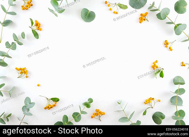 Spring flowers composition. Rectangular frame made of yellow rowan berries and gree eucalyptus branches on white background