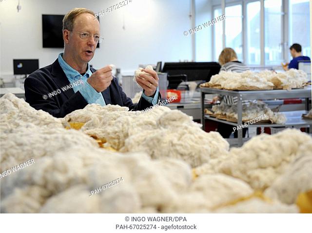 Cotton analyst Terry P. Townsend looks at samples from various growing regions, at the laboratory of the Bremen Cotton Exchange in Bremen,  Germany