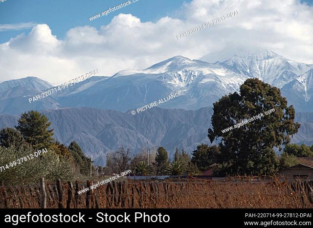 02 July 2022, Argentina, Mendoza: Vineyards rest in winter at the foot of the Andes. Photo: Florencia Martin/dpa. - Mendoza/Argentina