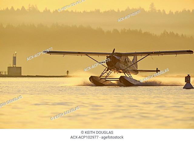 Beaver floatplane landing in Nanaimo harbor, Nanaimo, Vancouver Island, British Columbia