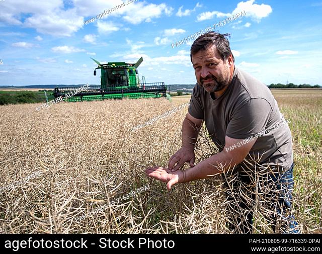 30 July 2021, Saxony-Anhalt, Querfurt: Stefan Kübler, a farmer from Teutschenthal, inspects his rape plants in a field during harvest